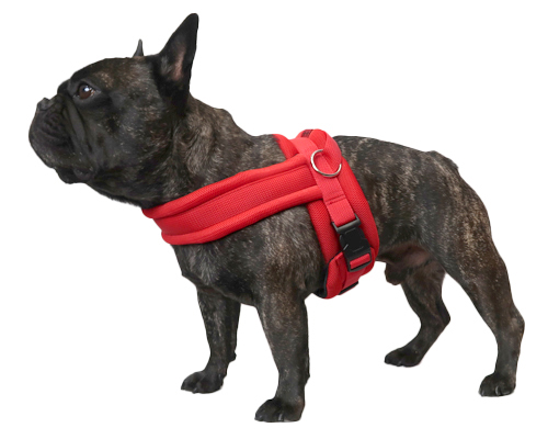 フレブル専用ハーネス(メッシュ)[RN]