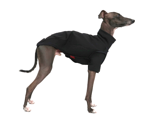 コットンTシャツ ウィペットサイズ