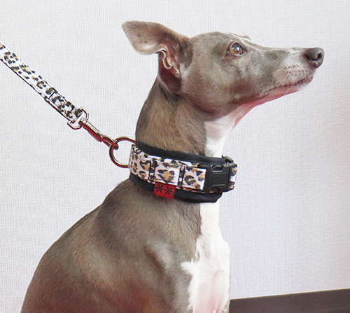 ミドルハイネックカラー(レオパード)　イタグレサイズ