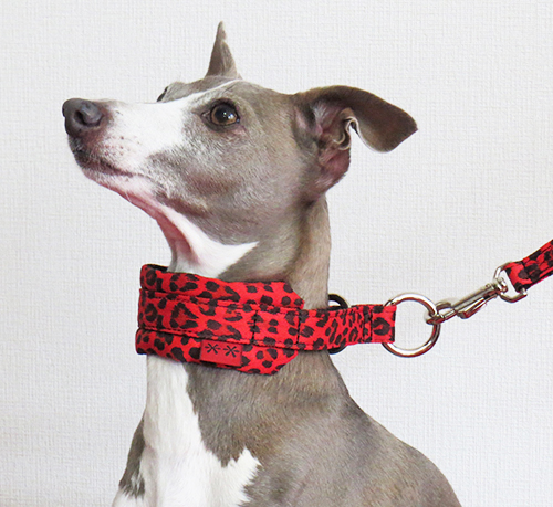 ソフトハーフチョーク（レオパード）　イタグレサイズ