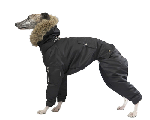 pim:liko＜ピムリコ＞ - イタグレ、ウィペット、フレブル専用のドッグ