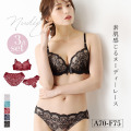 【3点セット】総レースヌーディブラ＆ショーツセット（ノーマル＋Tバックショーツ） 下着 ブラ ブラジャー ブラ＆ショーツセット ブラショーツ ブラショーツセット セットアップ 上下セット ランジェリー レース 刺繍 人気 レディース 女性 インナー 育乳 谷間 盛れる