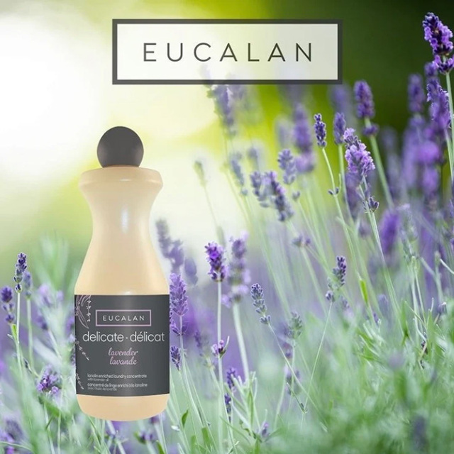 【Eucalan】ユーカラン　ランジェリー用洗剤 ラベンダー
