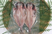 あじ2ｐ