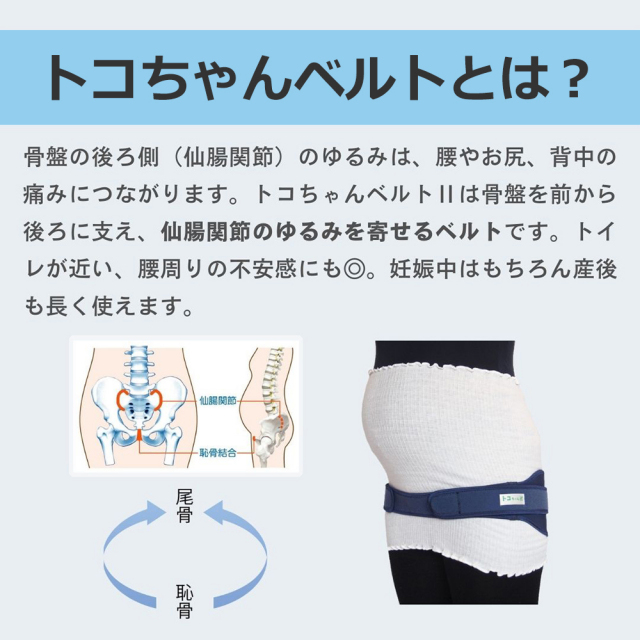 せっちゃん様　ご予約品 ぴっぴちゃんランド | 分娩直後 ダブル巻き 青葉 トコちゃん