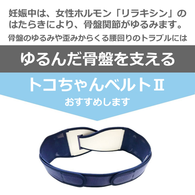 トコちゃんベルトの青葉　ベビー用品11点セット ぴっぴちゃんランド | 産前産後 ダブル巻き 青葉 トコちゃん