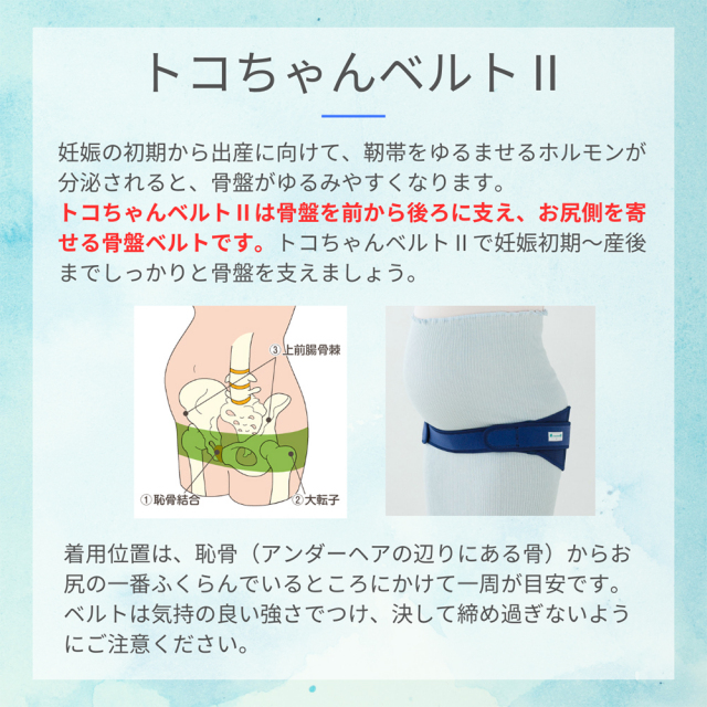 青葉トコちゃんベルトセット