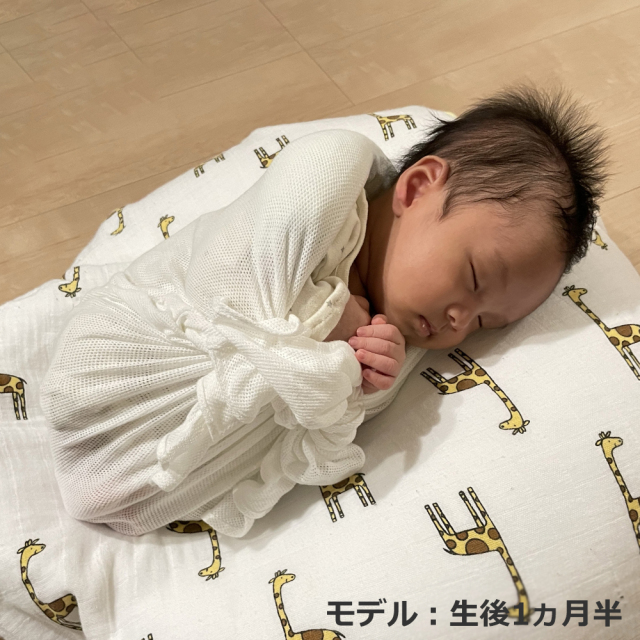 青葉ベビハグおひなまき