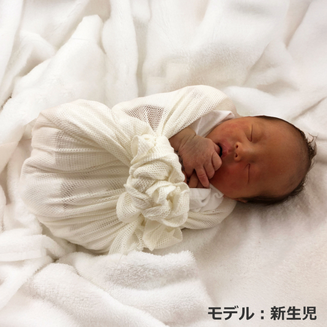 青葉ベビハグおひなまき