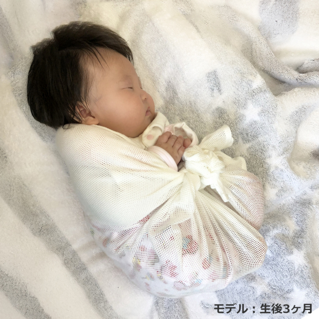 青葉ベビハグおひなまき