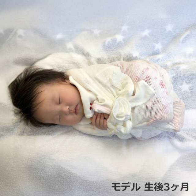 青葉ベビハグおひなまき