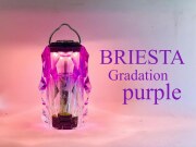 BRIESTA GRADATION PURPLE｜ブリエスタ グラデーションパープル｜NUTS