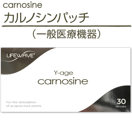 ◇LIFE WAVE Carnosine ライフウェーブ カルノシン疲労回復 - その他