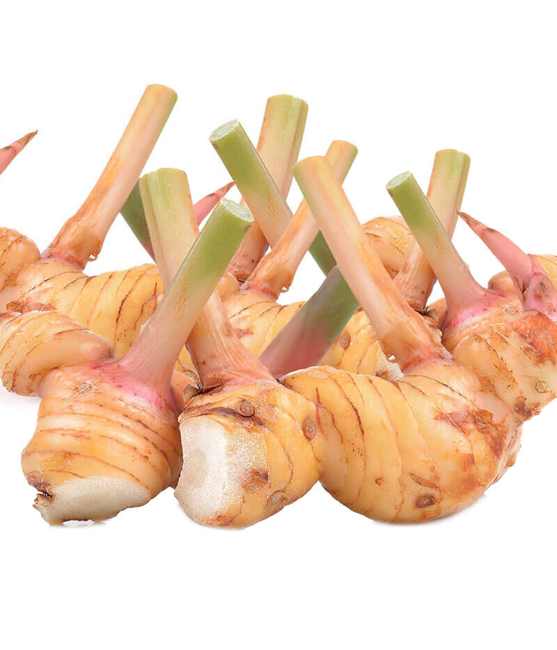 生鮮 ガランガル(500g)/GALANGAL(500g)