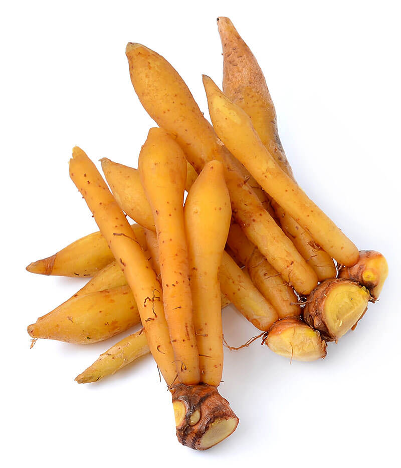 生鮮 チャイニーズ キー(100g)/CHINESE KEYS (WILD GINGER)