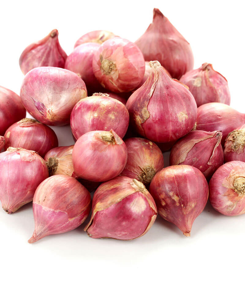 生鮮 アカワケギ(500g)/RED ONION(SHALLOT)