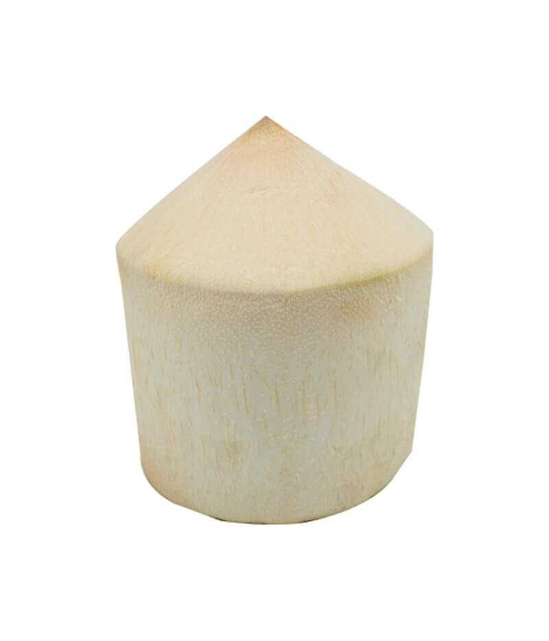 生鮮 ヤングココナッツ 1pc(900g)/YOUNG COCONUT 1pc(900g)