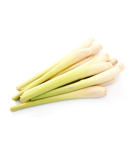 生鮮 レモングラス(100g)/LEMONGRASS(100g)