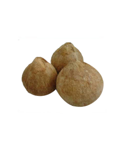 生鮮 オールドココナッツ(700-900g)/OLD COCONUT(700-900g)