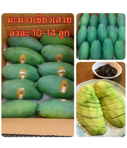 フレッシュマンゴー(マハチャノック類)3 kg (10個-14個)