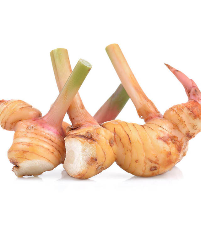 生鮮 ガランガル(100g)/GALANGAL(100g)