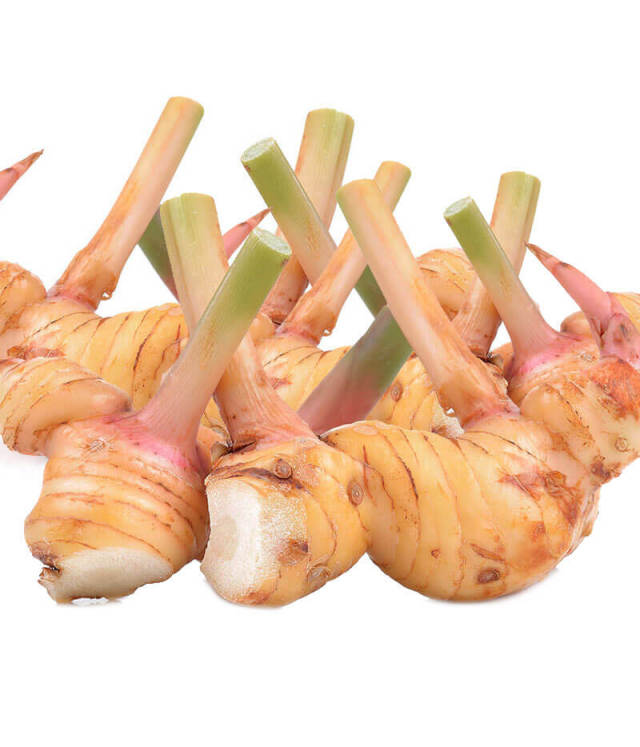生鮮 ガランガル(500g)/GALANGAL(500g)