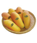フレッシュマンゴー(マハチャノック類）2.8kg (6個-10個）/FRESH MANGO (MAHACHANOK) 2.8kg (6p-10p）