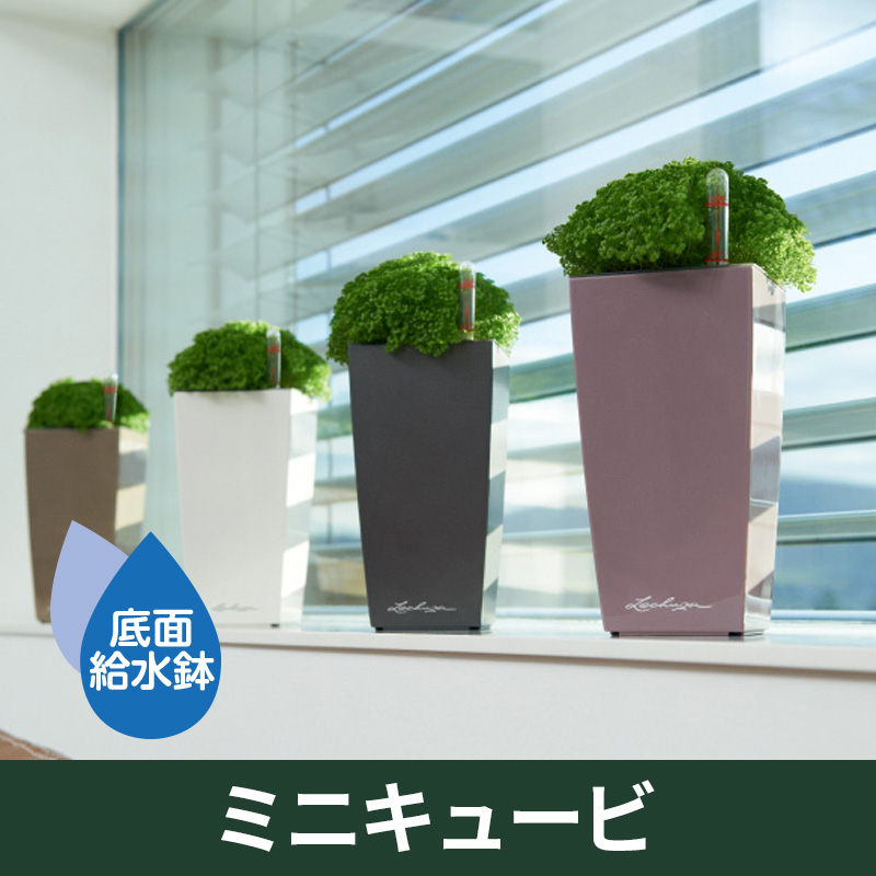 LECHUZAレチューザ』ミニキュービ｜底面給水鉢