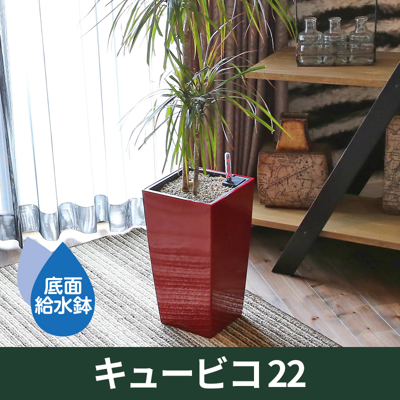 送料無料｜底面給水機能付きプランター【レチューザプレミアム】キュービコ22　LECHUZA　プラスチック製