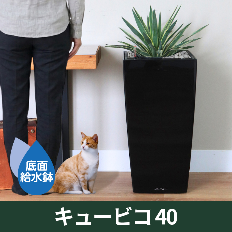 送料無料｜底面給水機能付きプランター【レチューザプレミアム】キュービコ40　LECHUZA　プラスチック製