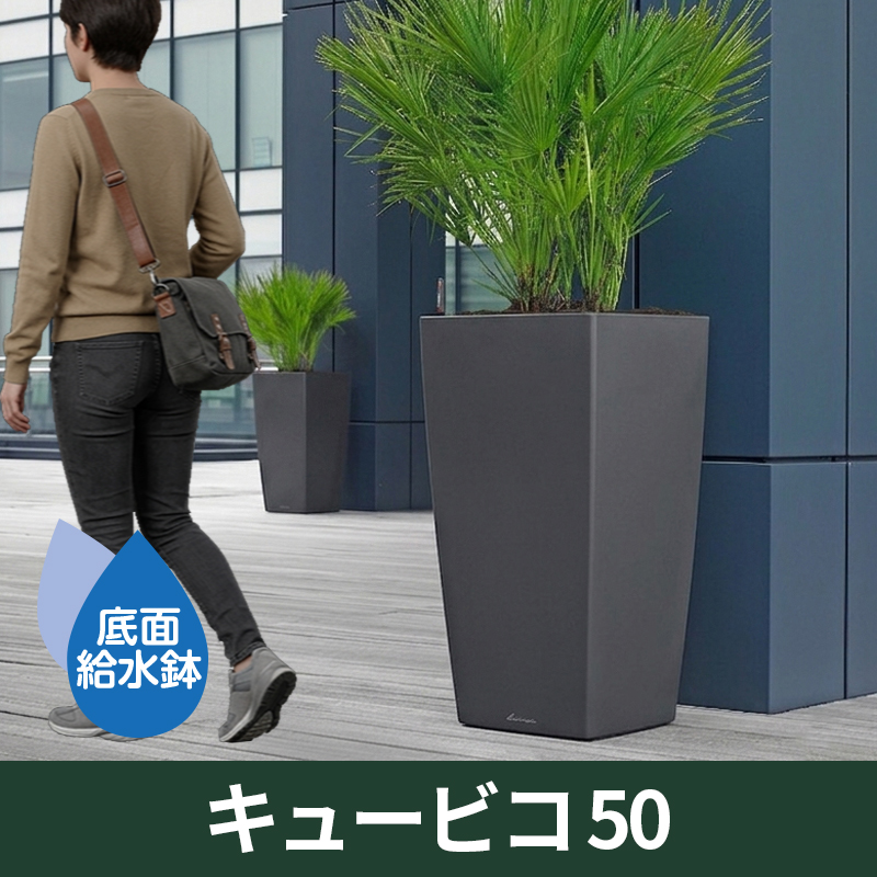 送料無料｜底面給水機能付きプランター【レチューザプレミアム】キュービコ50　LECHUZA　プラスチック製