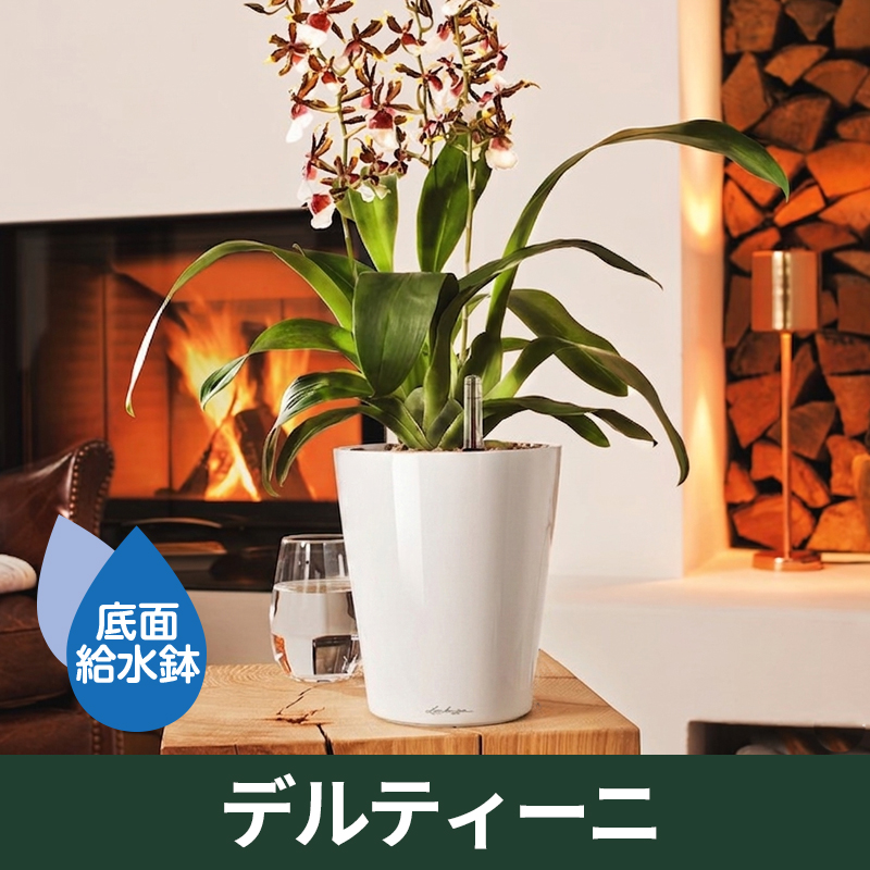 底面給水機能付きプランター【レチューザプレミアム】デルティーニ　LECHUZA　プラスチック製