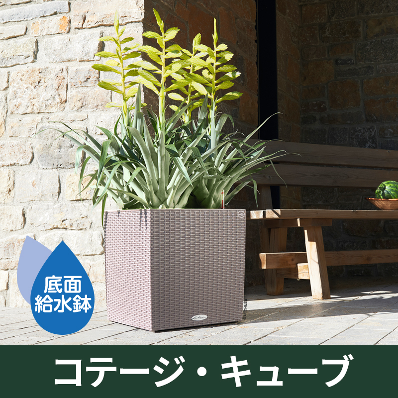 送料無料｜底面給水機能付きプランター【レチューザエコノミー】コテージ・キューブ　LECHUZA　プラスチック製
