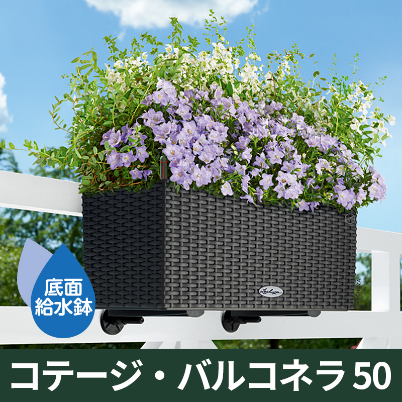 送料無料｜底面給水機能付きプランター【レチューザエコノミー】コテージ・バルコネラ50　LECHUZA　プラスチック製