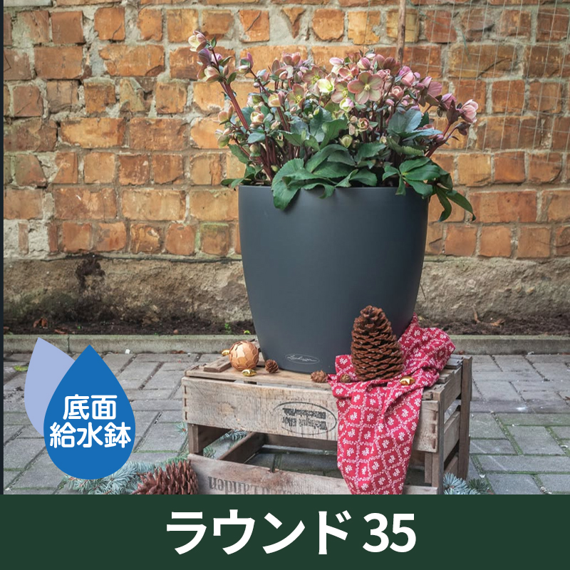 底面給水鉢 レチューザ・ラウンド35