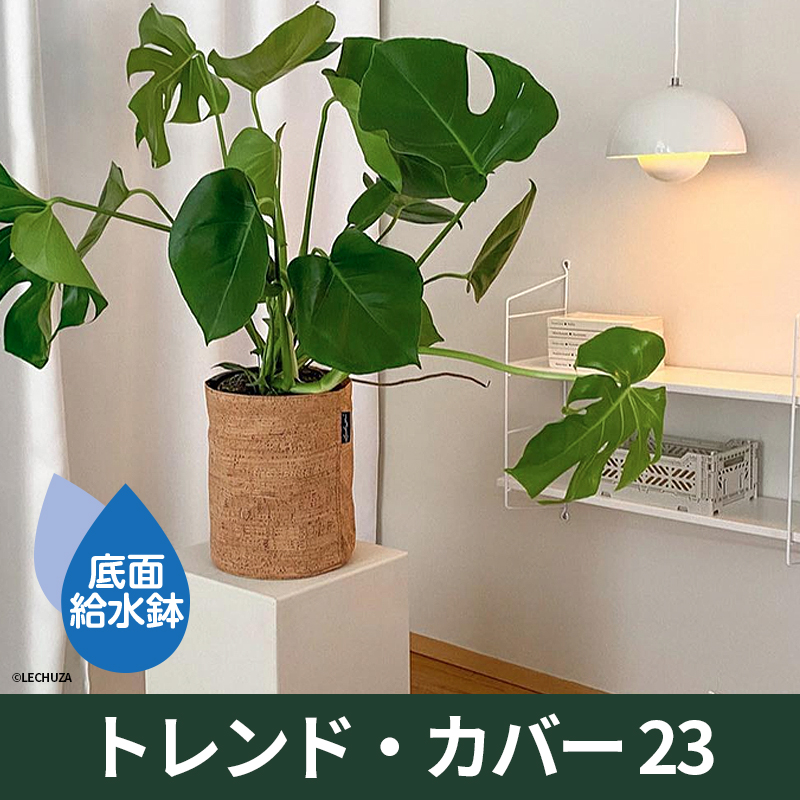 底面給水機能付きプランター【レチューザエコノミー】トレンドカバー23　LECHUZA