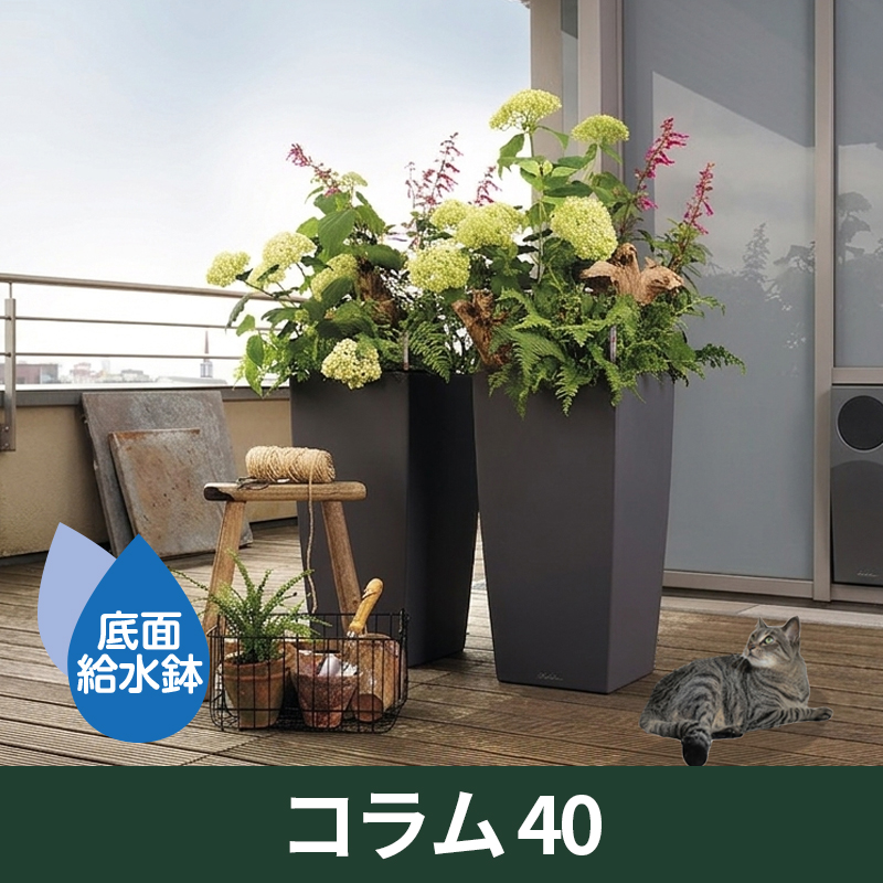 送料無料｜底面給水機能付きプランター【レチューザエコノミー】コラム40　LECHUZA　プラスチック製