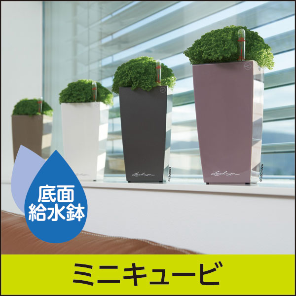底面給水機能付きプランター【レチューザプレミアム】ミニキュービ・LECHUZA・プラスチック製