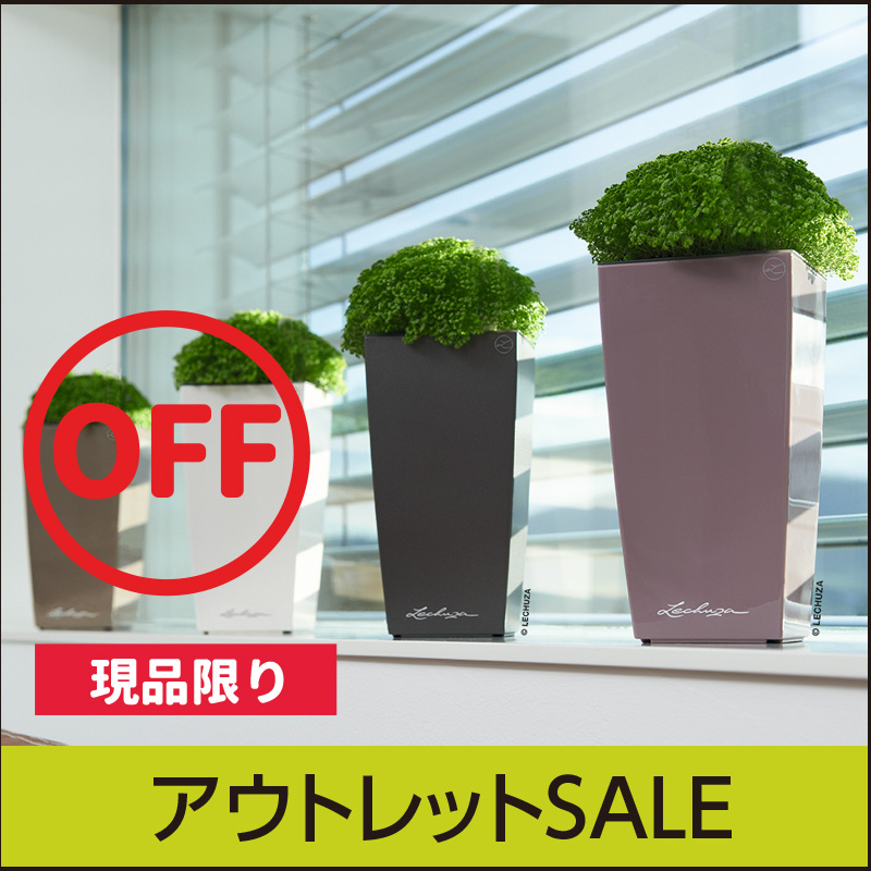 【訳あり】レチューザミニキュービ・旧型タイプ・LECHUZA・アウトレットセール