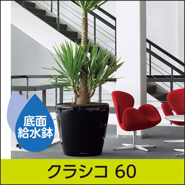 ☆大型商品につき別途送料☆底面給水機能付きプランター【レチューザプレミアム】クラシコ60・LECHUZA・プラスチック製