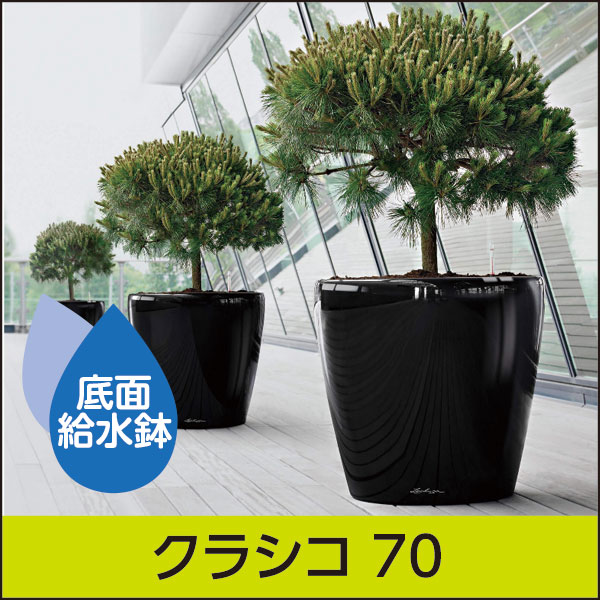 ☆大型商品につき別途送料☆底面給水機能付きプランター【レチューザプレミアム】クラシコ70・LECHUZA・プラスチック製