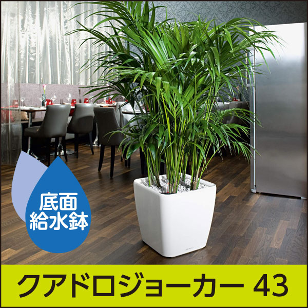 ☆送料無料☆底面給水機能付きプランター【レチューザプレミアム】クアドロ・ジョーカー43・LECHUZA・プラスチック製