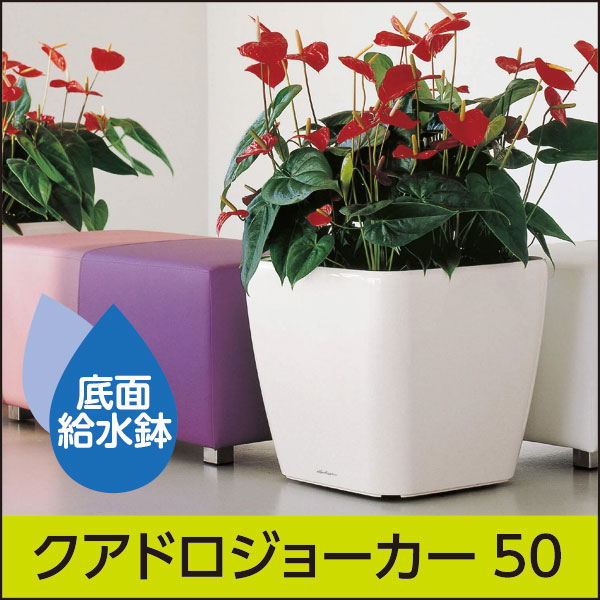 ☆送料無料☆底面給水機能付きプランター【レチューザプレミアム】クアドロ・ジョーカー50・LECHUZA・プラスチック製