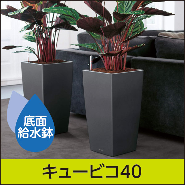 LECHUZAレチューザ』キュービコ40｜底面給水鉢