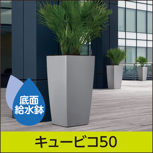 ☆大型商品につき別途送料☆底面給水機能付きプランター【レチューザプレミアム】キュービコ50・LECHUZA・プラスチック製