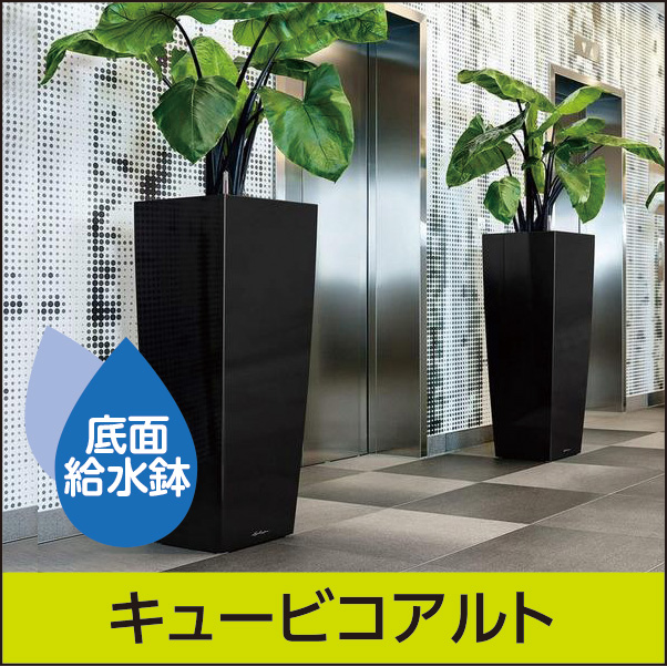 ☆送料無料☆底面給水機能付きプランター【レチューザプレミアム】キュービコアルト・LECHUZA・プラスチック製