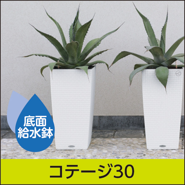 ☆送料無料☆底面給水機能付きプランター【レチューザエコノミー】コテージ30・LECHUZA・プラスチック製