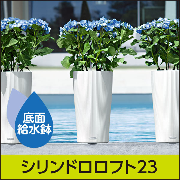 ★底面給水機能付きプランター【レチューザエコノミー】シリンドロロフト23・LECHUZA・プラスチック製