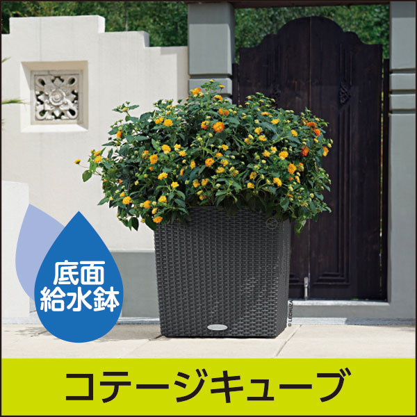 ☆送料無料☆底面給水機能付きプランター【レチューザエコノミー】コテージキューブ・LECHUZA・プラスチック製