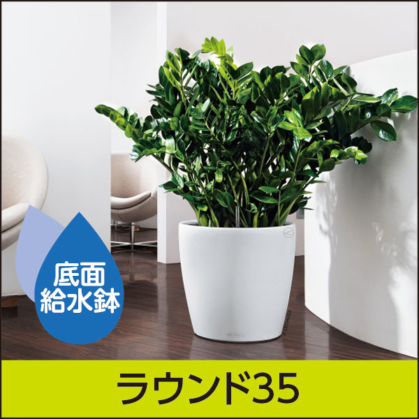 ☆送料無料☆底面給水機能付きプランター【レチューザエコノミー】ラウンド35・LECHUZA・プラスチック製